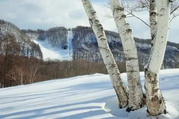 Minakami Kogen Hotel 200