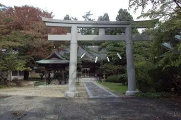 Gallery image