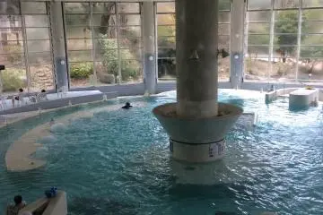 Leisure Pool & Onsen, Moka, Tochigi