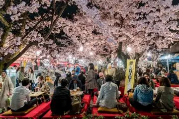 Kyoto-style hanami, with festival yatai stalls at hand  (Photo: Prasit Rodphan / Shutterstock.com)