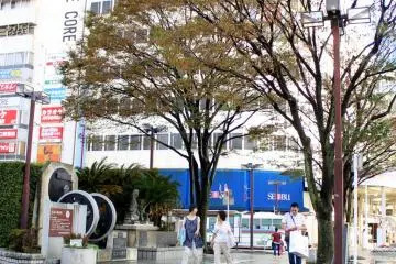Gallery image
