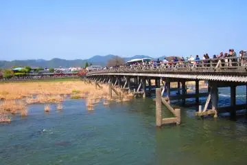Spring in Arashiyama 