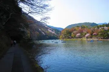 A scenic stroll by the Hozu River under the shade of trees  (Photo: YX Koh)