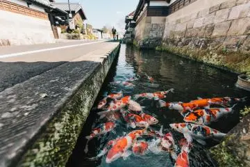 Photo:  Kazuhiko Watanabe