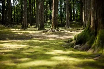 Photo: Kazuhiko Watanabe