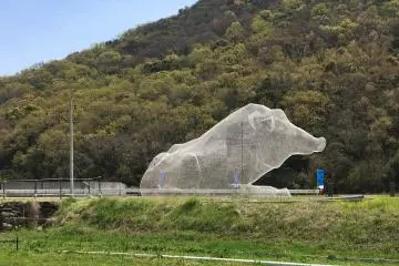 Art in Shodoshima's Mito Peninsula