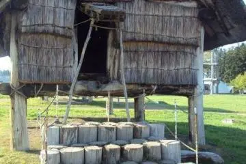 Sannai-Maruyama Site