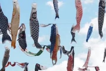 Koinobori Festa 1000 2026