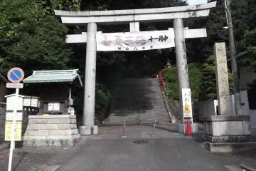Gallery image