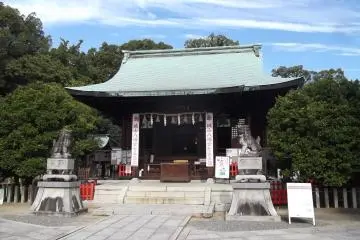 Gallery image