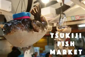 The One & Only Tsukiiji Fish Market