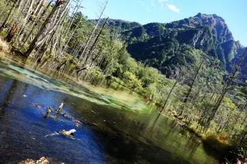 The Pristine Nature of Kamikochi