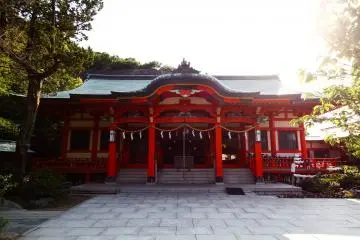 Gallery image