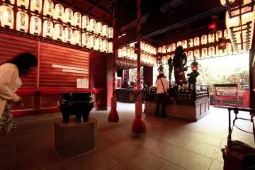 Gallery image