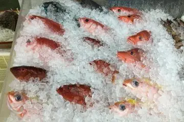 Makishi Public Market
