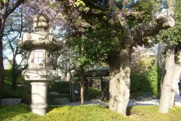 Gallery image