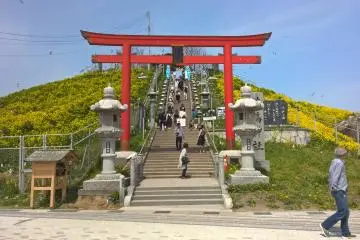 Gallery image