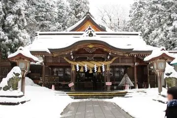 Gallery image