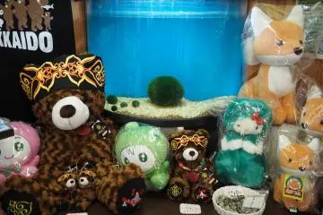 L'Algue Marimo du Lac Akan