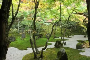 The Beauty of Fukuoka's Moss Temple