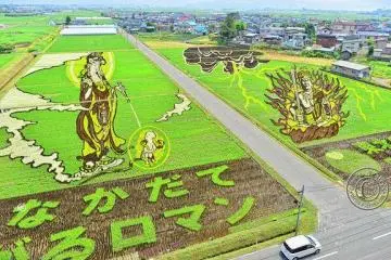 2012 design of Inakadate's rice art. (Photo: <a href="http://www.flickr.com/photos/glenn-in-japan/7549788228/" target="_blank" rel="noreferrer noopener nofollow">Glenn Waters</a>)