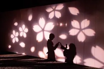 Sakura Illumination at Nijō Castle