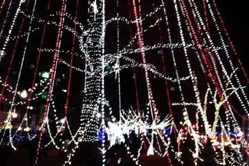 lights (Photo: <a href="http://www.gethiroshima.com" target="_blank" rel="noreferrer noopener nofollow">gethiroshima.com</a>)