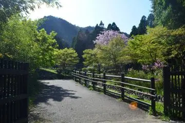 Otagi Nenbutsu-ji