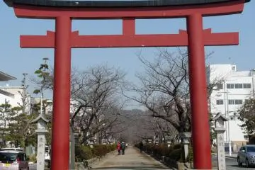 Gallery image