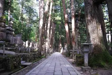 Mt. Koya and the Great Teacher