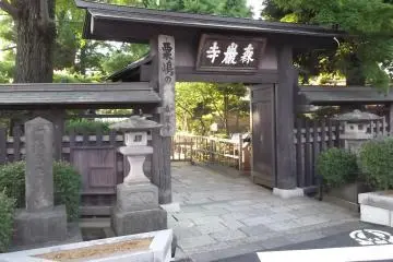 Gallery image