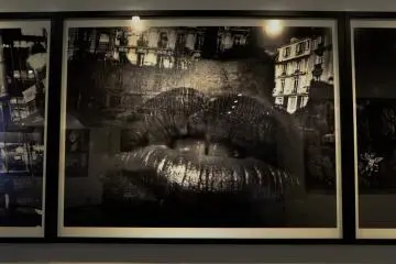 Gallery image