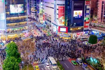 Le Shibuya Crossing