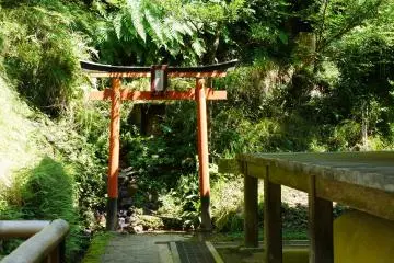 Gallery image