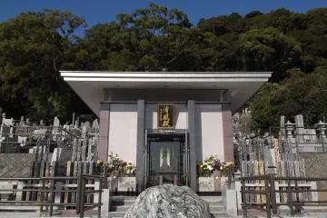 Gallery image
