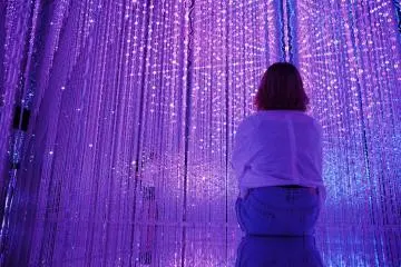 DMM Planets X TeamLab in Odaiba (2016)