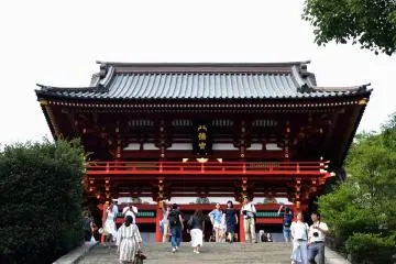 Gallery image
