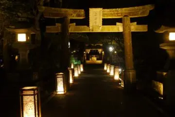 Enoshima by Night