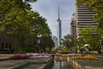 The tower seen from near the Fukuoka City Museum (Photo: <a href="https://en.japantravel.com/profile/tristan-scholze/419" target="_blank" rel="noreferrer noopener nofollow">Tristan Scholze</a>)