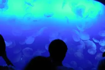 Enoshima Aquarium