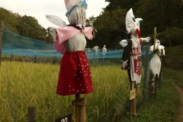 Maioka Park: A Living School