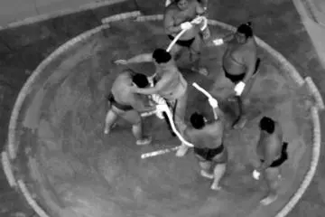 Watching Sumo