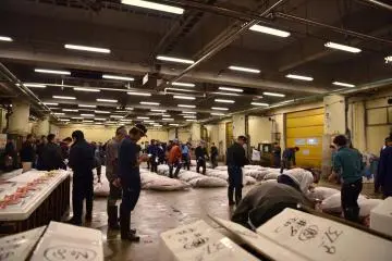 Tsukiji market at 4.30 am (Photo: <a href="https://en.japantravel.com/tokyo/tsukiji-market-at-5am/29217" target="_blank" rel="noreferrer noopener nofollow">Bridget Ye</a>)