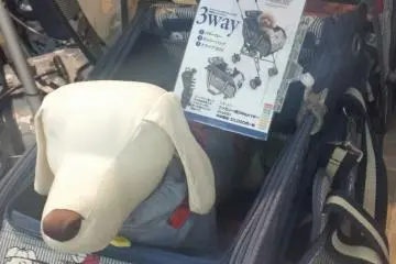 Japan's Deluxe Dog World