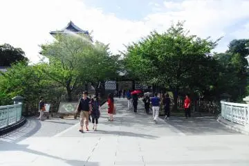 Gallery image