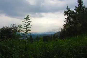 Higashiyama Walking Course