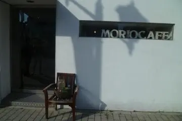 Morio Cafe [结束]