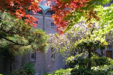 Cathedral That Rose From the Ashes