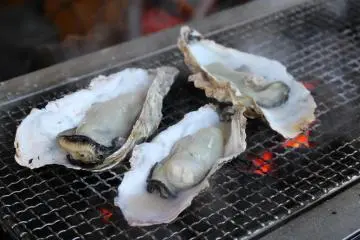 Festival Tiram Miyajima 2027