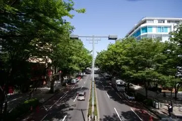 Omotesando